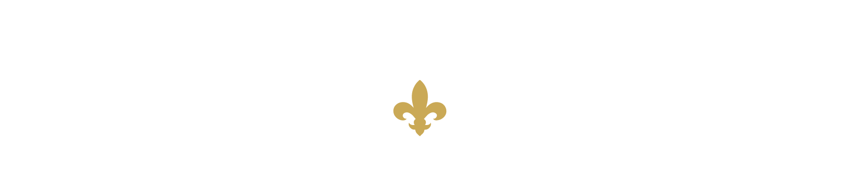 JNPCPA Logo